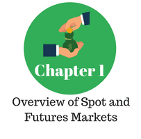 Spot Market vs Futures Market Differences | TradingSim