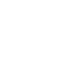 opel.png